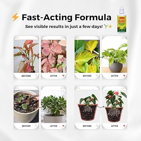 Plant Boost Liquid Biofertilizer for All Crops,Organic